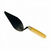 cucharin comun N